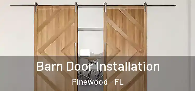  Barn Door Installation Pinewood - FL