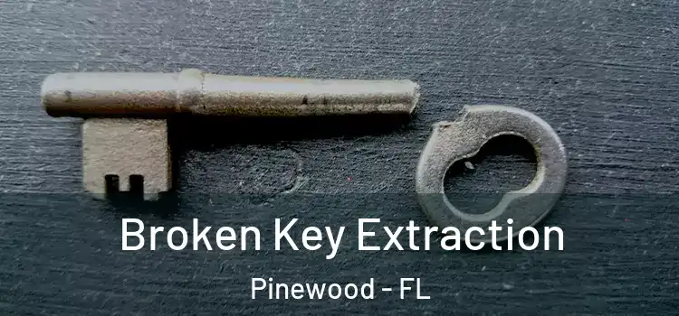  Broken Key Extraction Pinewood - FL