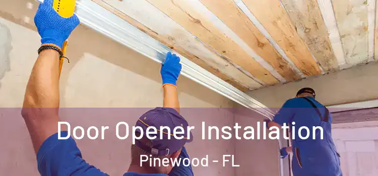  Door Opener Installation Pinewood - FL