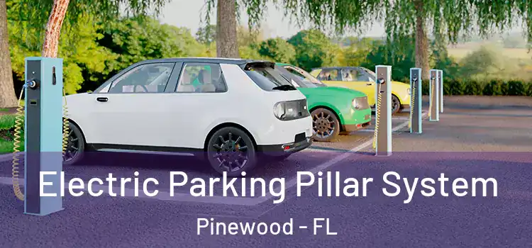  Electric Parking Pillar System Pinewood - FL