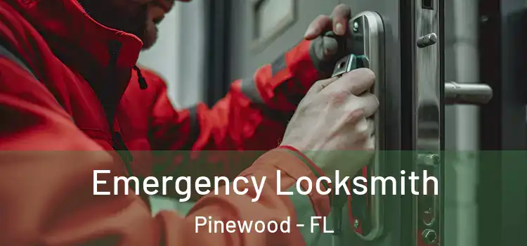  Emergency Locksmith Pinewood - FL