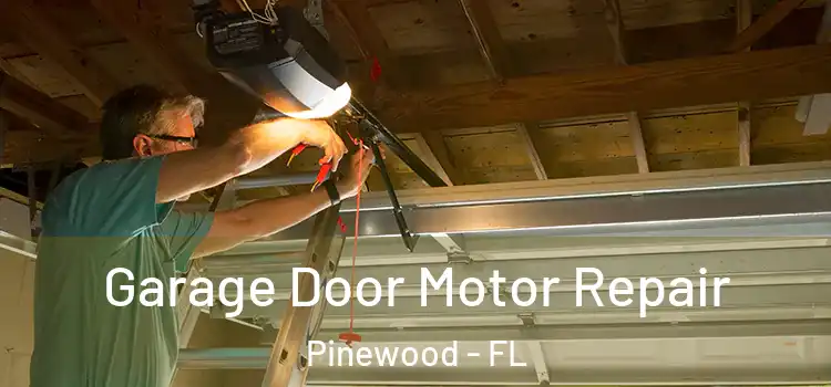 Garage Door Motor Repair Pinewood - FL