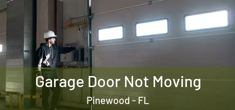  Garage Door Not Moving Pinewood - FL