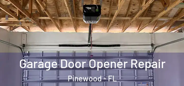  Garage Door Opener Repair Pinewood - FL