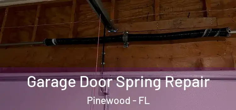  Garage Door Spring Repair Pinewood - FL