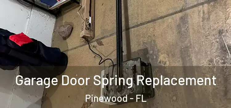  Garage Door Spring Replacement Pinewood - FL
