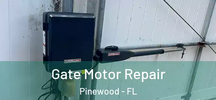  Gate Motor Repair Pinewood - FL