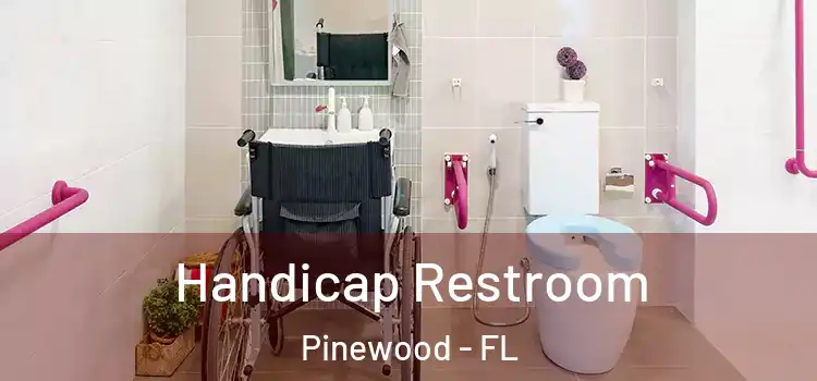  Handicap Restroom Pinewood - FL
