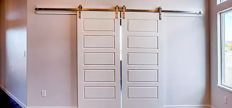 Glass Barn Door with Installation Hardware Kit Pinewood