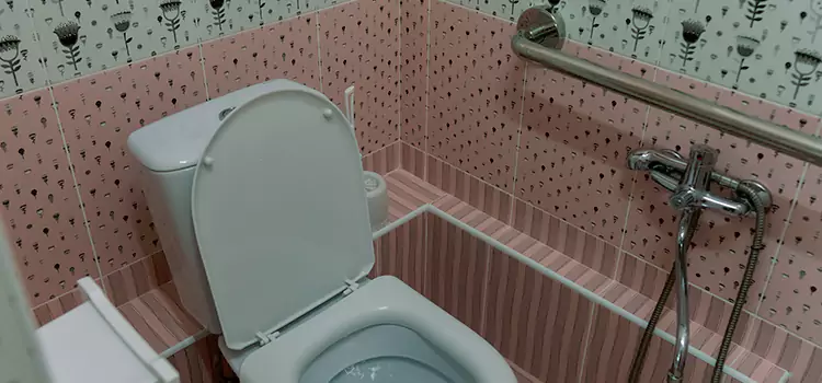 Meeting Diverse Needs With Accessible Restroom Solutions in Pinewood, FL