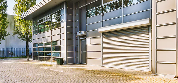 Electric Roller Garage Doors Pinewood