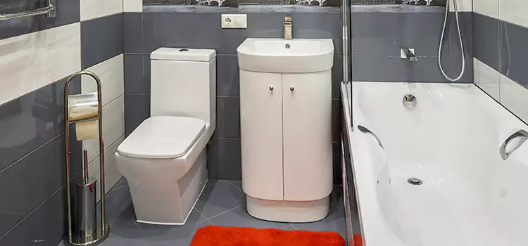 Hansgrohe Shaving Mirror Pinewood