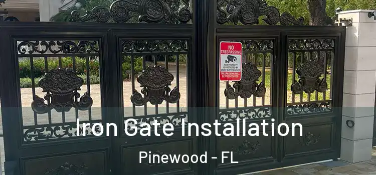  Iron Gate Installation Pinewood - FL