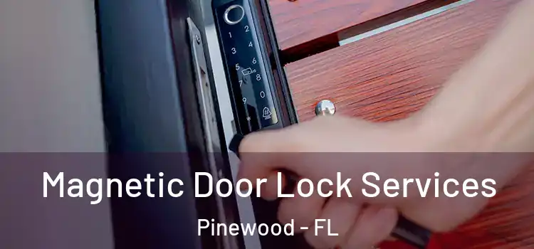  Magnetic Door Lock Services Pinewood - FL