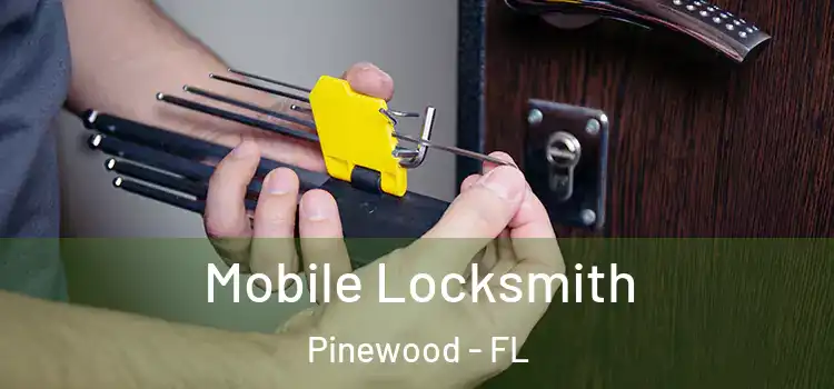  Mobile Locksmith Pinewood - FL