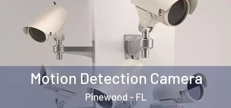  Motion Detection Camera Pinewood - FL