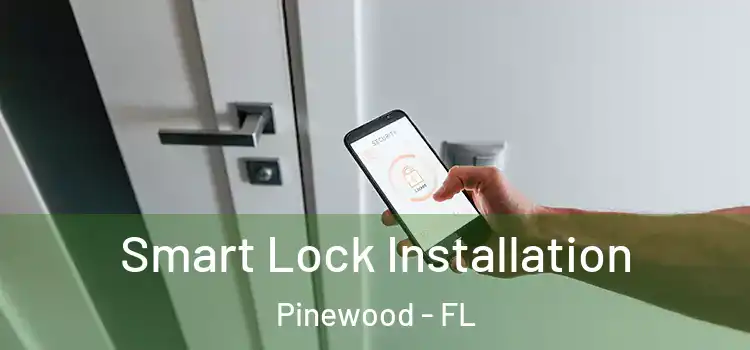  Smart Lock Installation Pinewood - FL